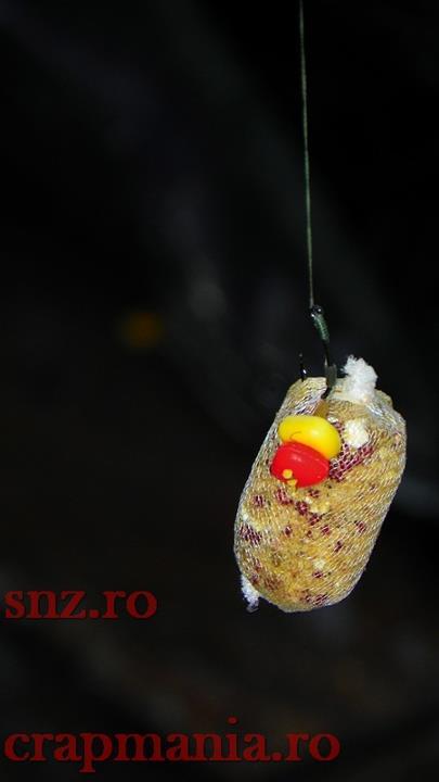 Diverse pescuit - 5595712423027358775371000029343678604532711217398660n.jpg